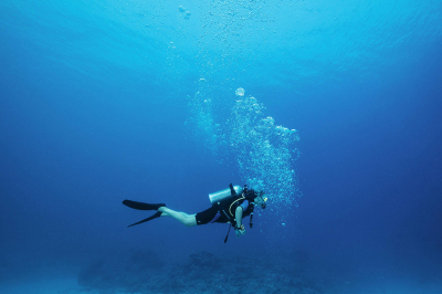 Diving & Snorkelling Activities